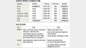 [맞춤 재테크]수익률 -50% 해외펀드 어떻게 해야하나