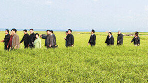 [제주]청보리… 소라… 제주 섬 특산물 축제 잇따라