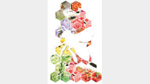 [인문사회]생태계 대재앙 경고하는 ‘꿀벌실종 미스터리’