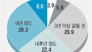 “소득 줄었다” 53.7%  “정부 경기진작책 부정적” 50.5%