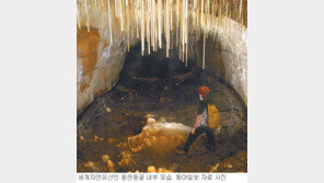 [제주]제주, 만장굴-김녕굴 연결돼 있을까