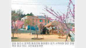 [강원]주말，떠나요!/가족과 매화에 쏙 반하고…