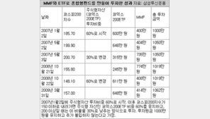 [맞춤 재테크]나만의 혼합형 펀드 만들려면…