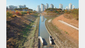 [인천/경기]“굴포천, 환경생태 교육 메카로”