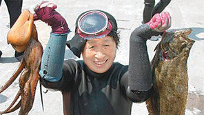 [제주]제주 최고의 해녀 가리자