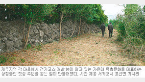 [제주]봄날의 제주, 어떤 길로 걸어볼까