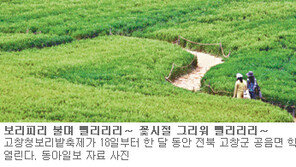 [전북]보리피리 불며 삘리리리∼ 그 시절 그리워 삘리리리∼