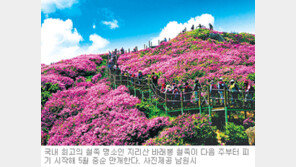 [전북]지리산 바래봉서 25일부터 철쭉제