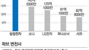 [A+리포트]불황기 마케팅 성공작 삼성TV ‘파브’