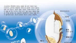 [Prime TOWN]최고의 밥맛을 내는 비밀은?