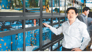 [수도권/그 골목엔 뭔가 있다]<21>청계천 수족관 상가