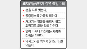 멕시코發 돼지독감 공포… 美-뉴질랜드로 확산