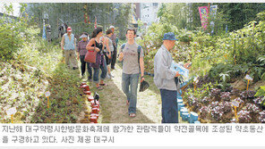 [대구/경북]그대 건강, 대구약령시한방문화축제서 챙기세요