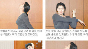 [헬스&뷰티]목은 C자형 곡선이 가장 편안하대요