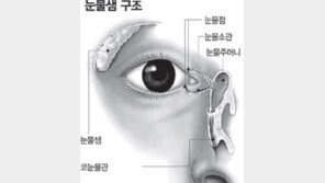 [헬스&뷰티]슬프지 않은데 시도때도 없이 ‘울보’