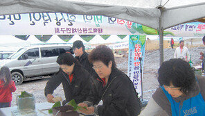 [강원]주말, 떠나요!/산나물의 맛 속으로
