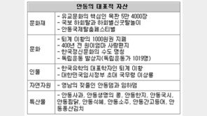 [대구/경북]안동 브랜드 가치는 2261억