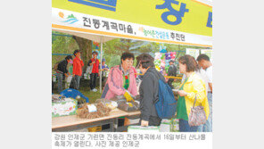 [강원]주말, 떠나요!/진동계곡서 산나물축제