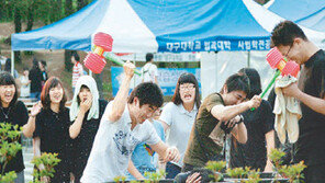 [대구/경북]대학축제 ‘놀이’ 대신 ‘봉사와 취업’