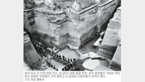 [인문사회]찬란한 中 문화유산, 도굴꾼에게 짓밟히다