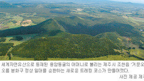 [제주]제주 거문오름 트레킹 어때요?