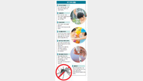 모기의 계절… ‘방심의 틈’부터 막으세요