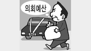 [횡설수설/김순덕]지방의회장(葬)