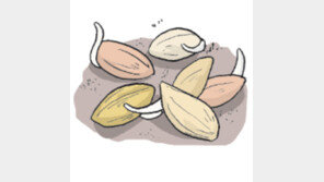 [오늘의 날씨/6월5일]보리알갱이 하나에 우주가…