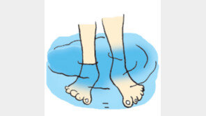 [오늘의 날씨/6월8일]더위 쫓을 나만의 ‘죽부인’은…