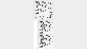 [서정보 기자의 이 한수]초읽기 속 白3 묘수