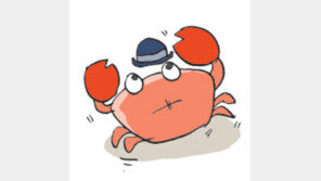 [오늘의 날씨/6월11일]연평 앞바다의 ‘횡행개사’들