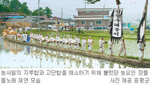 [충북]주말，떠나요!/증평 ‘장뜰 들노래 축제’