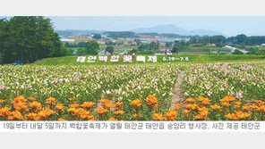 [대전/충남]주말, 떠나요/백만송이 백합의 순수에 취하고