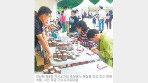 [강원]주말, 떠나요!/강원도 노곡면 27, 28일 가시오가피 축제