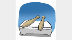 [오늘의 날씨/6월29일]아름다워라, 생명의 소리