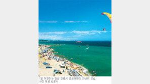 [강원]자! 떠나자, 낭만의 여름 바다로…