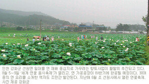 [인천/경기]‘세계 연꽃 음식축제’ 내달 열린다