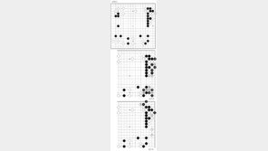 [서정보 기자의 이 한수]중국바둑리그 9회전