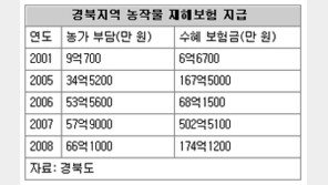 [대구/경북]경북 농작물 재해보험 가입 급증