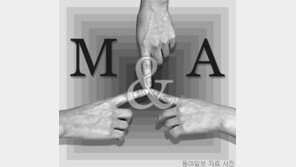 [박영균 논설위원의 추천! 비즈 북스]M&A 법과 실제