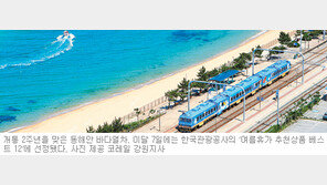 [강원]‘여름휴가의 백미’ 동해안 바다열차 개통 2주년
