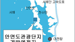 [대전/충남]안면도, 세계적 관광지로 본격 개발