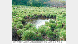 [강원]용늪 자연생태학교 9월 완공