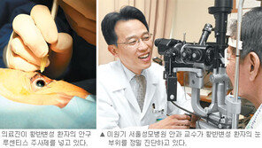 [헬스&뷰티/Before & After]서울성모병원 안과 황반변성 치료
