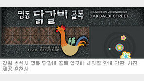 [강원]춘천닭갈비 단체표장 출원키로