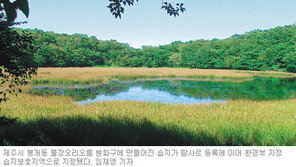[제주]제주 습지보호지역 3곳으로 늘어나