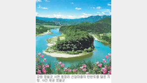 [강원]한반도면-김삿갓면 ‘생일잔치’연다