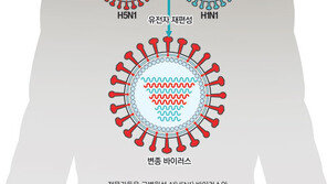 신종 플루 2차확산 올까… AI와 결합땐 최악시나리오