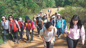 [인천/경기]제주 올레길 부럽잖은 시흥 늠내길