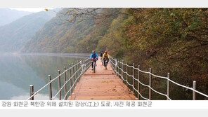 [강원]“자전거 타고 물위 달려보세요”